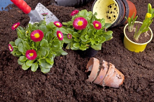 Team member preparing a garden site with tools laid out