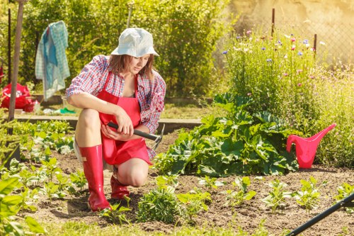 Lawn mowing and turf care being performed in Camden
