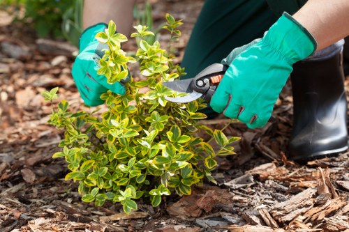 Garden waste handling and tidy-up work in Camden