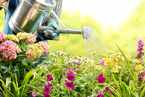 A close-up view of a gardener's hands watering a vibrant flower bed in a well-maintained garden, with pink, purple, and yellow flowers alongside green foliage. The gardener is using a metal watering can, held at an angle to evenly distribute water over the plants. The background features soft-focus greenery, suggesting a lush outdoor space typical of residential gardens in Camden. The garden surface includes a mix of flowering plants and green grass, with visible soil and plant borders. The scene implies good outdoor maintenance and garden care, reflecting professional gardening services such as those offered by Gardening Services Camden, who specialise in lawn and planting care within the local area.
