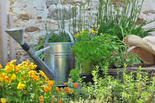 Landscape gardening and garden reshaping in Camden