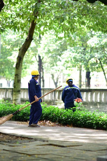 A young man dressed in navy blue work overalls is engaged in garden maintenance, standing on lush green grass beside a row of dense, well-trimmed evergreen shrubs, possibly arborvitae or yew. He holds