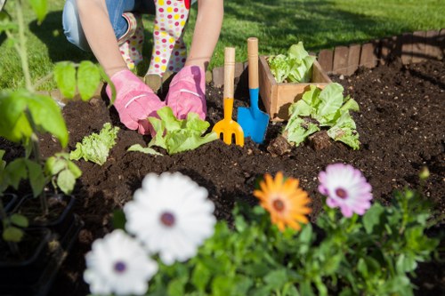 Seasonal plants arranged in a vibrant garden