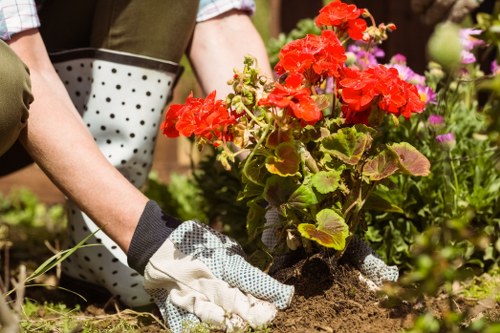 Professional gardener designing a landscape layout